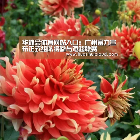 华体会体育网站入口:广州富力宣布正式组队将参与港超联赛(图3) 华体会官网网页版