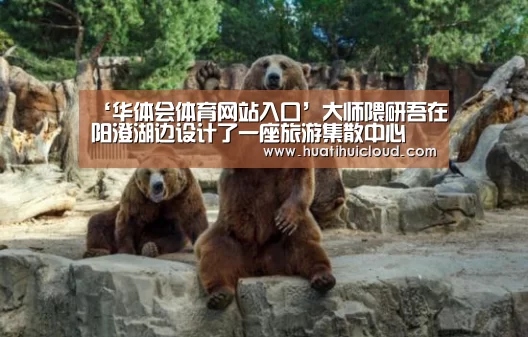 华体会体育网页版