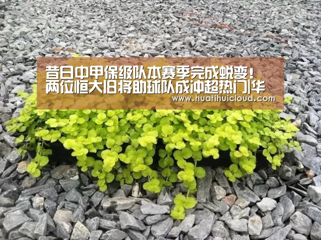 昔日中甲保级队本赛季完成蜕变!两位恒大旧将助球队成冲超热门|华体会体育网站入口(图1) 华体会体育网页版