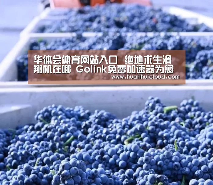 华体会体育网站入口-绝地求生滑翔机在哪 Golink免费加速器为您整理刷新点(图1) 华体会官网网页版