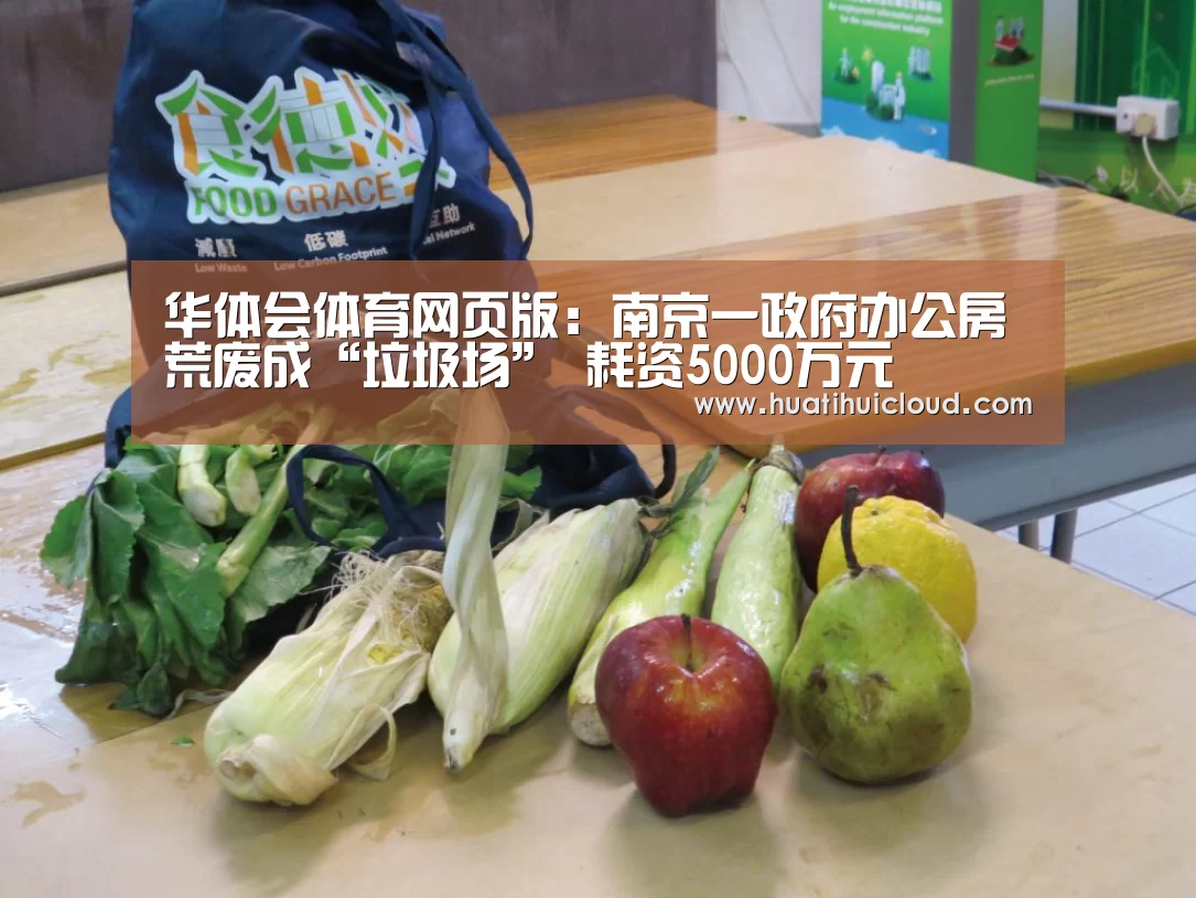 华体会体育网页版:南京一政府办公房荒废成“垃圾场” 耗资5000万元(图4) 华体会体育网页版:南京一政府办公房荒废成“垃圾场” 耗资5000万元(图4)