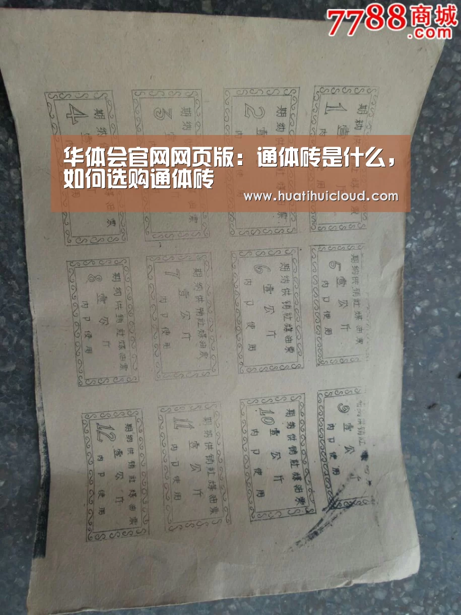 华体会官网网页版